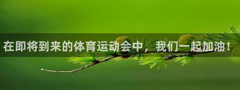 沐鸣平台主管