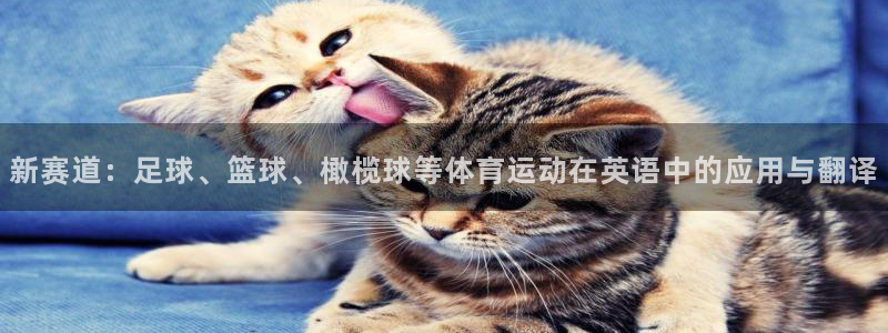 沐鸣4登录