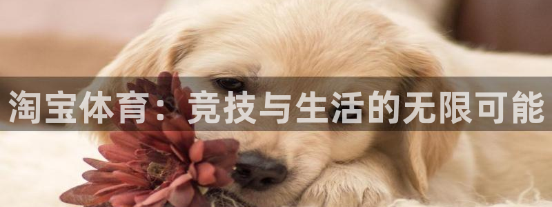 沐鸣体育2