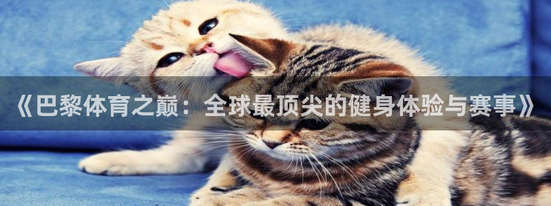 德国沐鸣集团