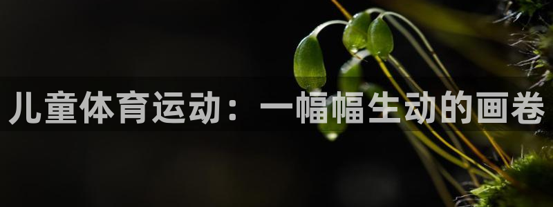 沐鸣注册官网入口