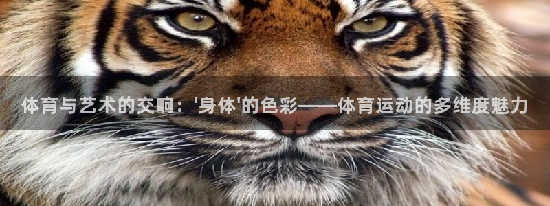 沐鸣网页版地址