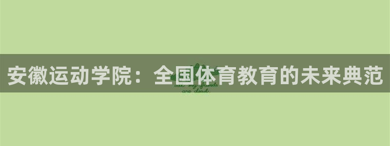 成都沐鸣电子有限公司