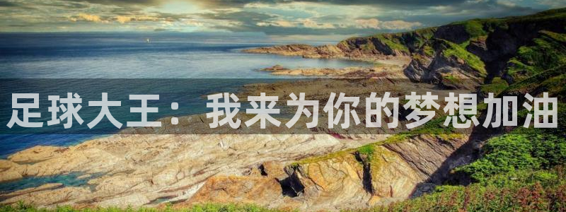 沐鸣体育官网