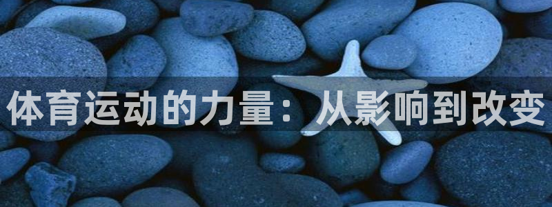 上海沐鸣汽车电子有限公司