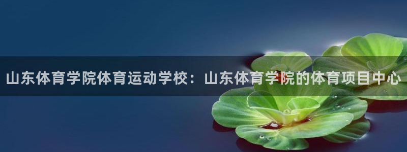 沐鸣平台主管
