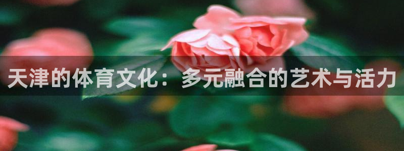 沐鸣体育2