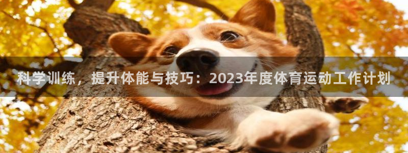 沐鸣体育f开号