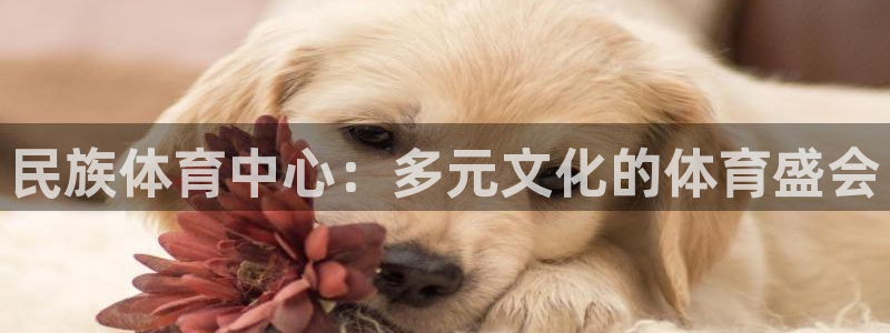 沐鸣注册登录