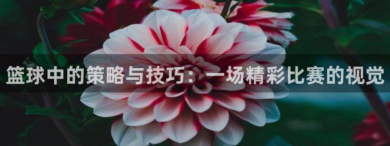 沐鸣2首页登录