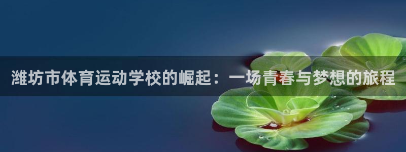 沐鸣注册登录入口